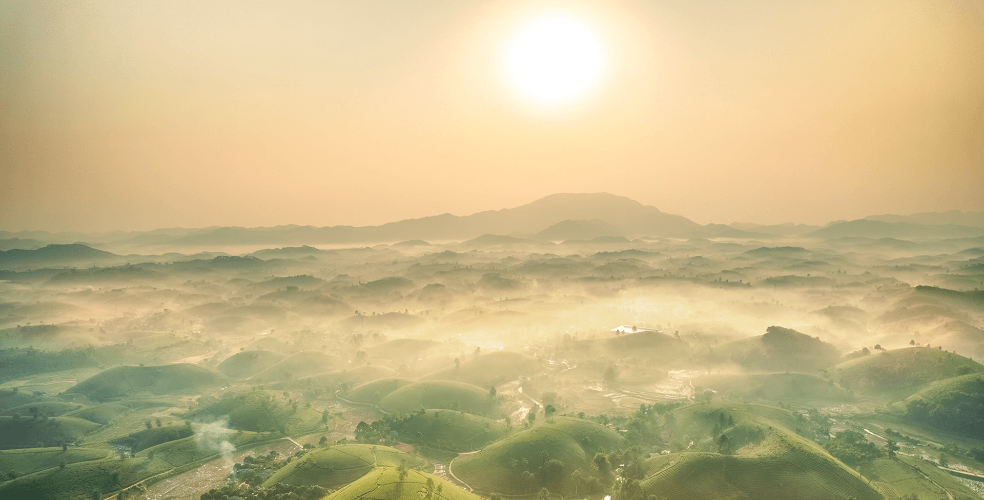 Introduce NGO projects to the public